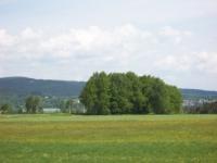Panoramablick zum Waldstein und zum Weissenstaädter See - Bild 12: Ferienwohnung am Weissenstädter See im Fichtelgebirge