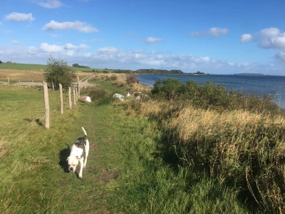 Ferienhaus in Putbus: Hundefreundliches Ferienhaus zur Alleinnutzung mit eingezäuntem Garten