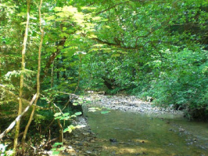 Bild 16: Das blaue Haus