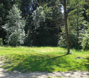 Bild 14: Das blaue Haus