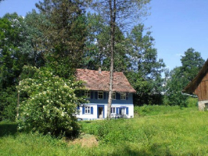 Bild 11: Das blaue Haus