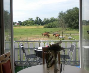 Bild 6: Fewo am Wieker Bodden 80m zum Wasser, Terrasse, Balkon, Garten, Fahrräder
