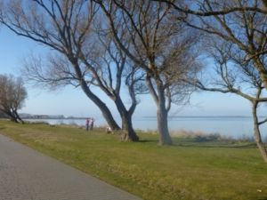 Der Wieker Bodden mit Blick zur Insel Hiddensee.