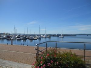 Bild 19: Fewo am Wieker Bodden 80m zum Wasser, Terrasse, Balkon, Garten, Fahrräder