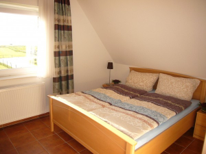 Bild 10: Fewo am Wieker Bodden 80m zum Wasser, Terrasse, Balkon, Garten, Fahrräder