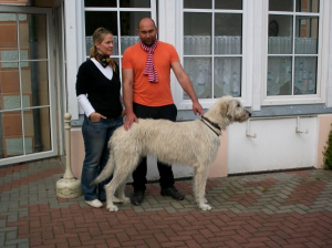 Bild 11 unser bis dato größter "Gästehund" :-)!