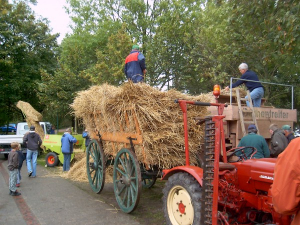 Der Dörpverein Pilsum e.V. richtet jedes das Erntedankfest aus