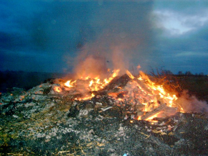 Bild 14: Ferienwohnung in Pilsum an der Nordsee bei Familie Smid