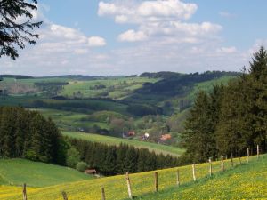 Unser kleines Dorf liegt im Diemeltal zwischen Hügeln und Wäldern.