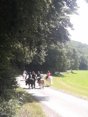 Ponyreiten auf Jacky, Pünktchen, Luke und Rocky sind der totale Hit:)