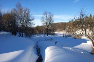 Bild 12: Osterzgebirge, Altenberg - Bauernhaus für 12 Pers. in großartiger Lage