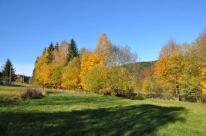 Bild 9: Osterzgebirge, Altenberg - Bauernhaus für 12 Pers. in großartiger Lage