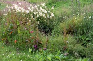 Bild 7: Osterzgebirge, Altenberg - Bauernhaus für 12 Pers. in großartiger Lage