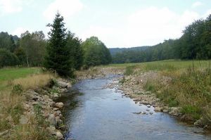 Bild 8: Osterzgebirge, Altenberg - Bauernhaus für 12 Pers. in großartiger Lage