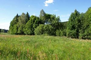 Bild 5: Osterzgebirge, Altenberg - Bauernhaus für 12 Pers. in großartiger Lage