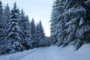 Bild 13: Osterzgebirge, Altenberg - Bauernhaus für 12 Pers. in großartiger Lage