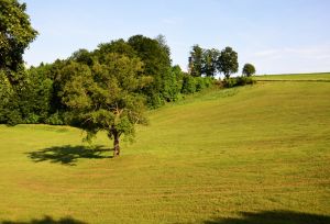 Bild 17: Landhaus in idyllischer Alleinlage im Sauerland