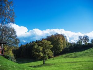 Bild 19: Landhaus in idyllischer Alleinlage im Sauerland