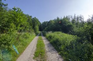 Bild 35: Landhaus in idyllischer Alleinlage im Sauerland