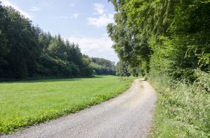 Bild 38: Landhaus in idyllischer Alleinlage im Sauerland