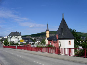Bild 18: Ferienweingut Scholtes-Hammes