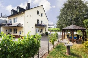 Unser Ferienweingut inmitten der Weinberge