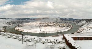 Bild 17: Ferienweingut Scholtes-Hammes