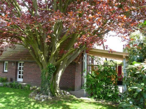 Bild 1: Urlaub im schönen Ammerland Ferienwohnung zur Rotbuche
