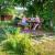 Galeriebild 1