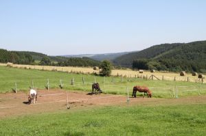 Bild 21: Ankommen und sich gleich wohlfühlen in der Ferienwohnung Eifelblick