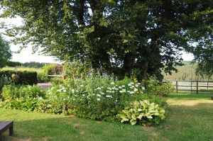 Bild 27: Ankommen und sich gleich wohlfühlen in der Ferienwohnung Eifelblick