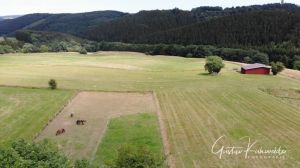Bild 30: Ankommen und sich gleich wohlfühlen in der Ferienwohnung Eifelblick
