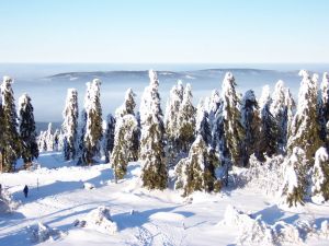 Der höchste Berg Frankens kann im Winter über die Schneebergstraße bestiegen werde. Es bietet sich ein Ausblick in die bizarre Winterlandschaft und hinüber zum Waldstein.
