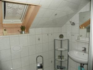 Duschbad, Waschbecken und WC helles Bad mit Waschbecken, Dusche und WC.
Handtücher,Föhn,Toilettenspiegel, Kosmetikspiegel sind vorhanden.