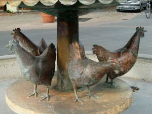 und hier die Hennen dazu