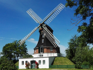 Bild: Ferienhaus "Mühle Catharina", Urlaub mit Hund, Zaun, - 8 P.,Nordsee