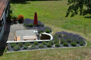 Im Juli blüht der Lavendel