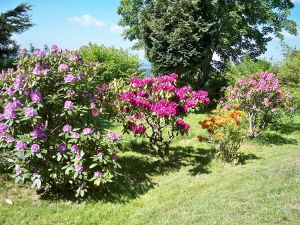 Hier auf der Liegewiese kann man die Sonne den ganzen Tag genießen