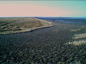 Bild 17: Nordseeferienhaus Sandboll im Nordseeheilbad Friedrichskoog-Spitze
