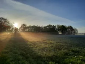 Bild 2: FeWo "Landhaus Kolbe" (Whg. 2) an der ostfriesischen Nordseeküste