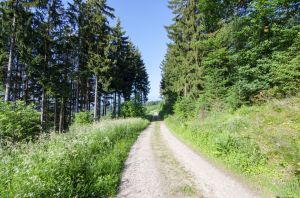 Bild 29: Ferienwohnung Kornkammer im Sauerland