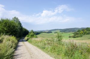Bild 34: Ferienwohnung Kornkammer im Sauerland