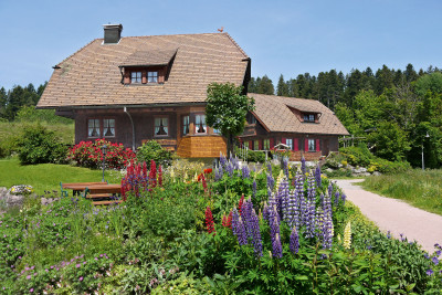 Ferienhaus in Freudenstadt: 4-Sterne-Traum-FeHaus im Schwarzwald, stadtnah und trotzdem ruhig gelegen