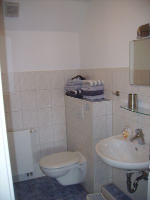 In dieser Wohnung finden Sie das WC mit einem Waschbecken separat zur Dusche.