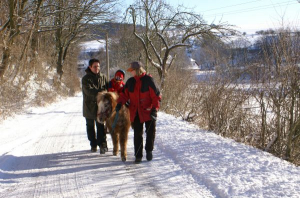 Ponyreiten im Winter.