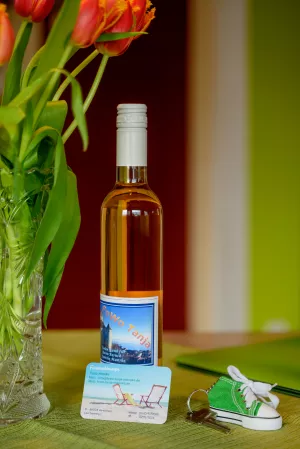 Bild 2: Ferienwohnung Tanja Manske in Meersburg am Bodensee 4 Sterne