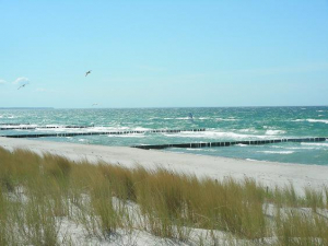 Ostseestrand... Sand, Sonne, Wind und Wellen - die Strände sind wundervoll - so lockt die Ostsee im Sommer. Kilometer langer Sandstrand lädt im Frühling, Herbst und Winter zu langen Spaziergängen ein, die Ruhe und die frische Seeluft sind Balsam für Körper und Seele. Geniesen Sie Natur.
Mit dem Auto in ca. 4km (es gibt auch ein Hundestrand) zuerreichen.