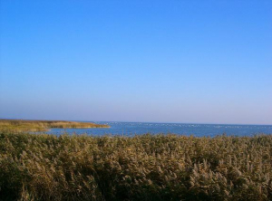 Bild 18 Natur pur.
Mit dem Fahrrad auf dem Deich, immer am Bodden lang, ist ein Vergnügen. Schöne Fahrradwege ziehen sich durch den ganzen Nationalpark "Vorpommersche Boddenlandschaft"