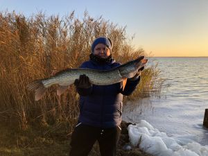 Angelglück Bild 11: Ostseeurlaub mit Hund - Wassergrundstück - Angeln