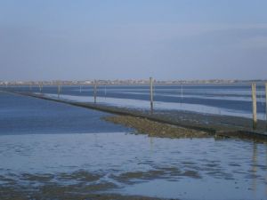 Blick vom Strand Nessmersiel auf die Inseln Baltrum und Norderney